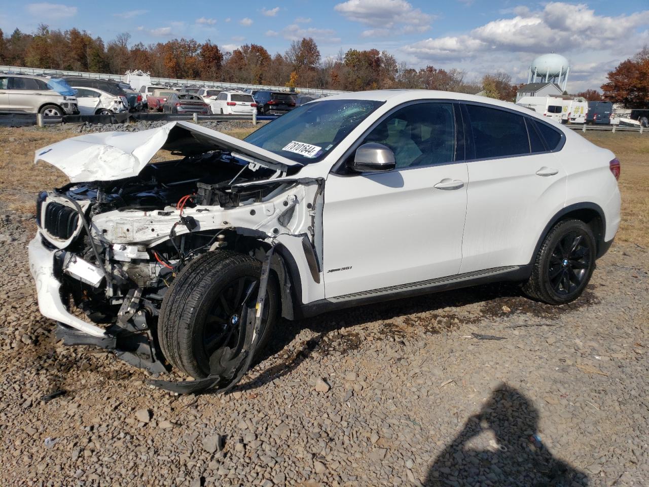 2019 BMW X6 xDrive35I VIN: 5UXKU2C54K0Z65848 Lot: 78101644