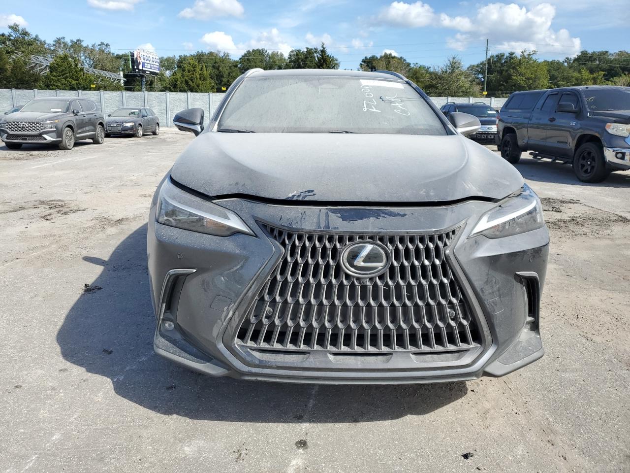 2024 Lexus NX - Image 5
