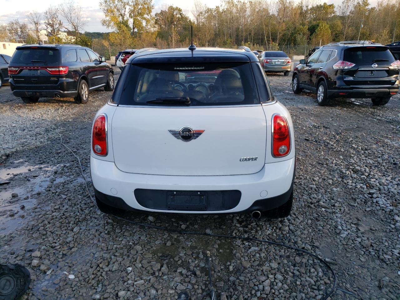 2013 Mini Cooper Countryman VIN: WMWZB3C54DWM07183 Lot: 75754494