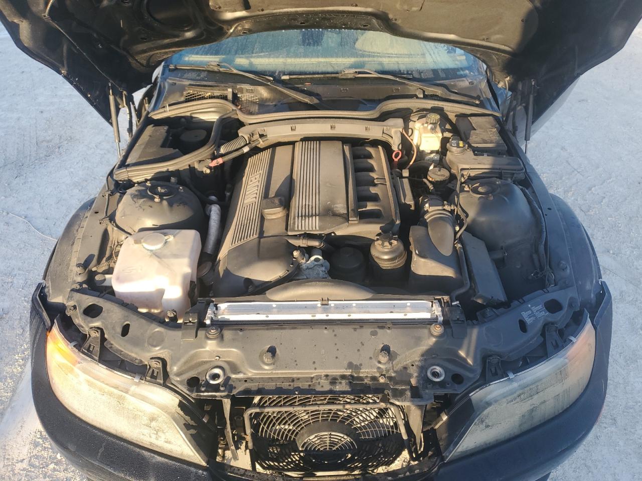2000 BMW Z3 2.3 VIN: WBACH9343YLF88835 Lot: 77306774