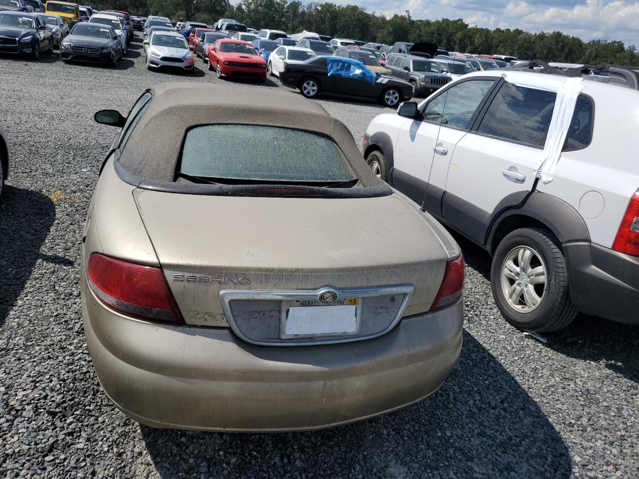 2004 Chrysler Sebring Lx VIN: 1C3EL45X44N328111 Lot: 74331744