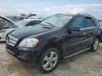 2011 Mercedes-Benz Ml 350 на продаже в Riverview, FL - Water/Flood