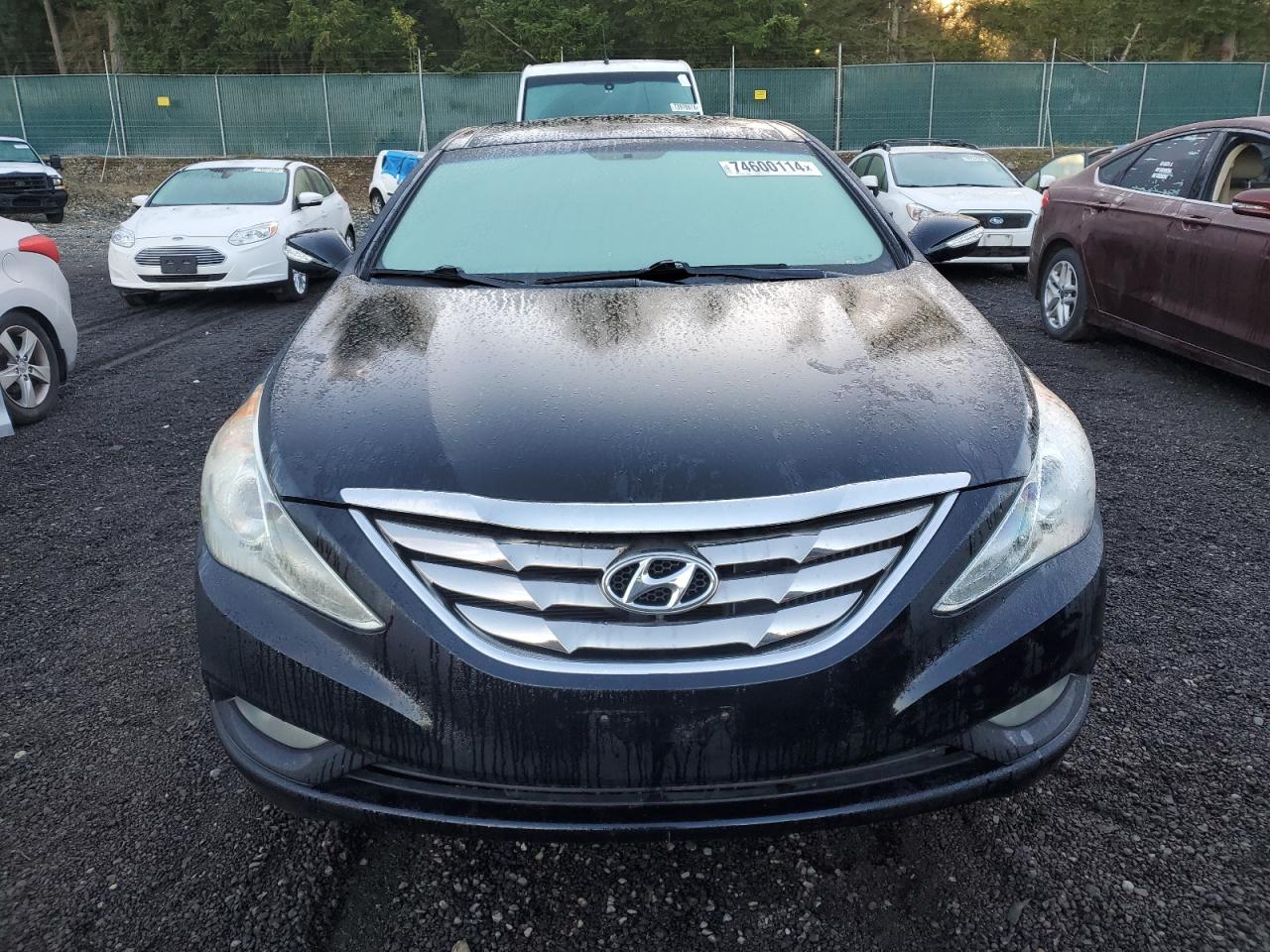2013 Hyundai Sonata - Image 5