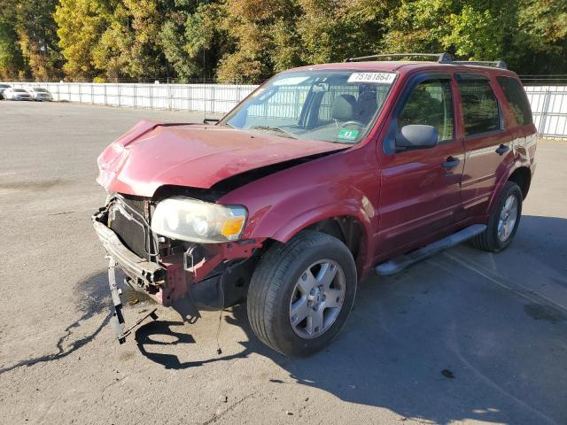 2007 Ford Escape Xlt