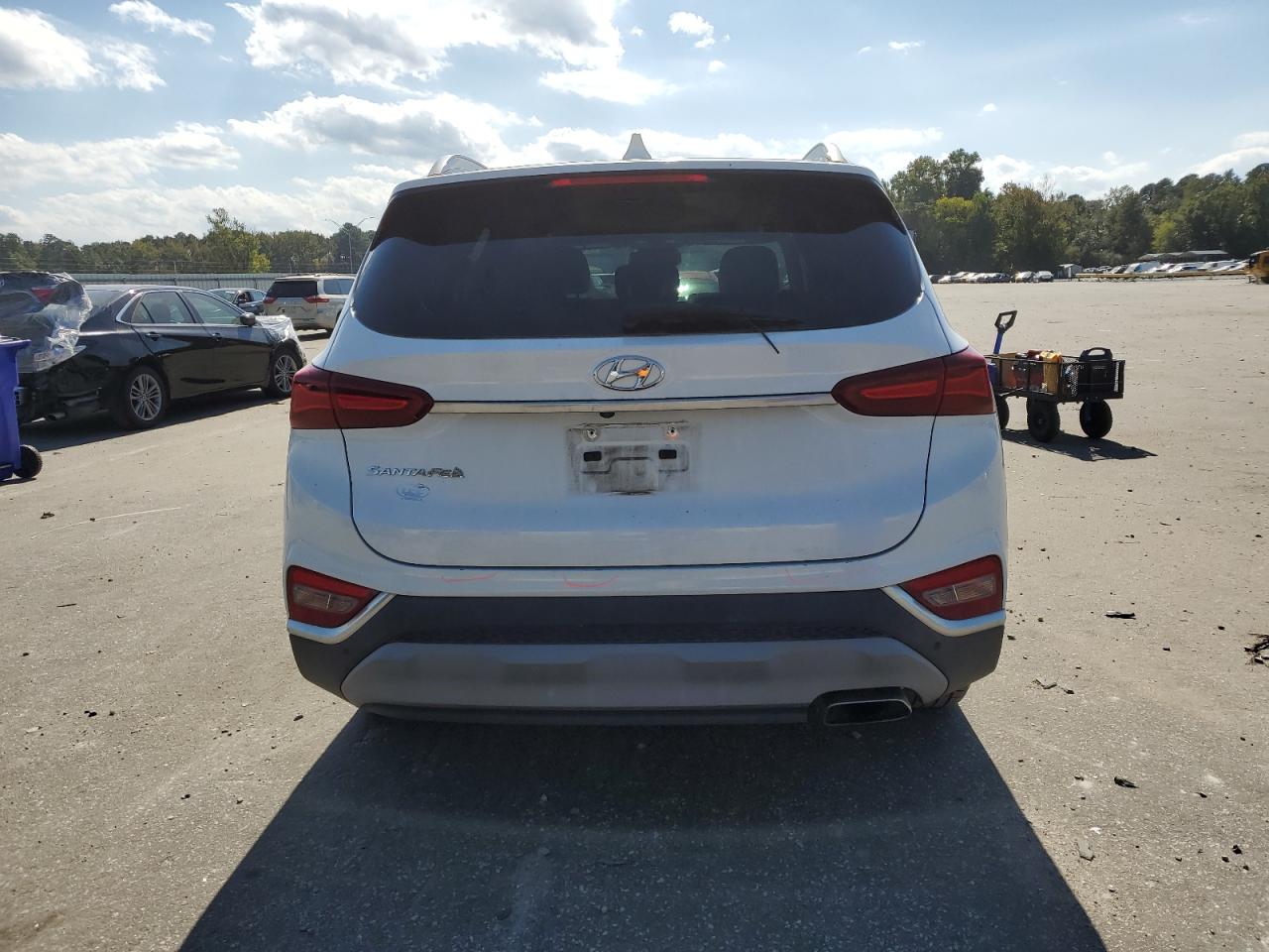 2019 Hyundai Santa Fe Limited VIN: 5NMS53AD7KH054749 Lot: 75739404