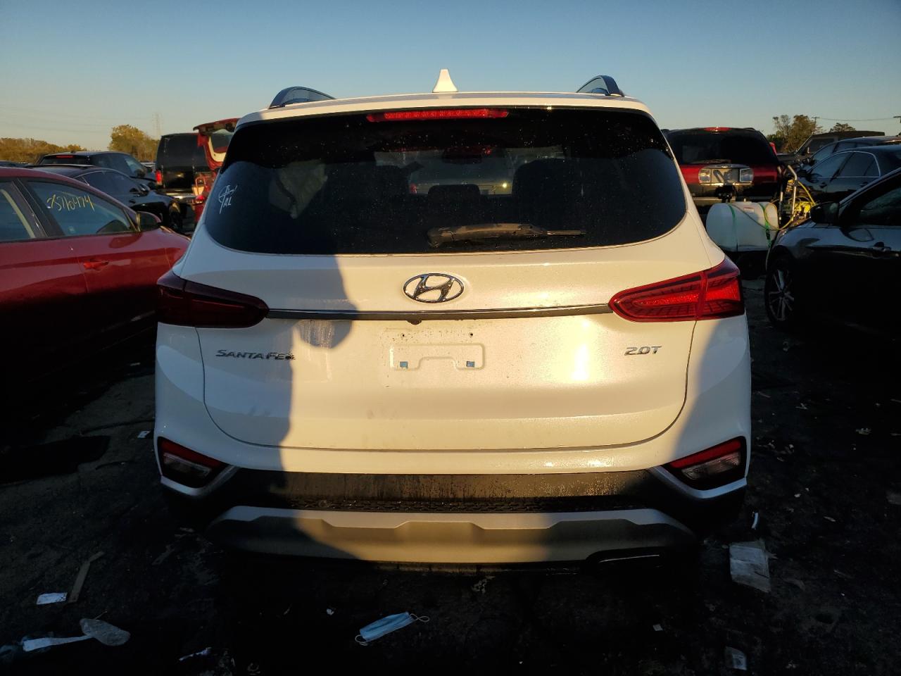 2019 Hyundai Santa Fe Limited VIN: 5NMS53AA9KH057836 Lot: 76375384