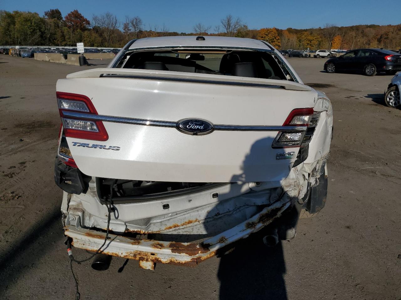 2013 Ford Taurus Sho VIN: 1FAHP2KT3DG101036 Lot: 77184484