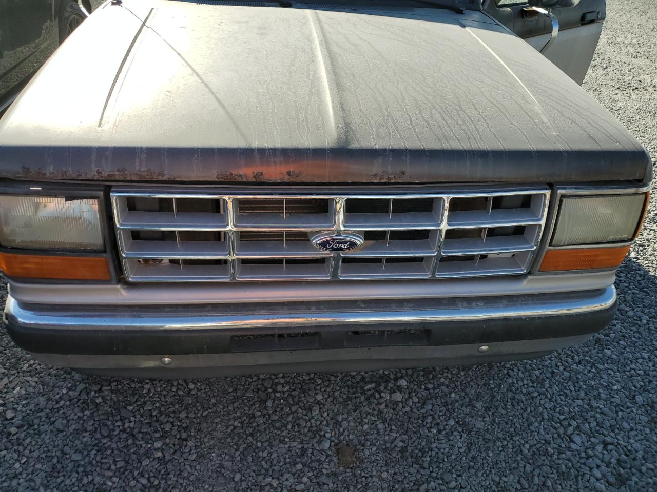 1990 Ford Bronco Ii VIN: 1FMCU14T4LUA75868 Lot: 74209254