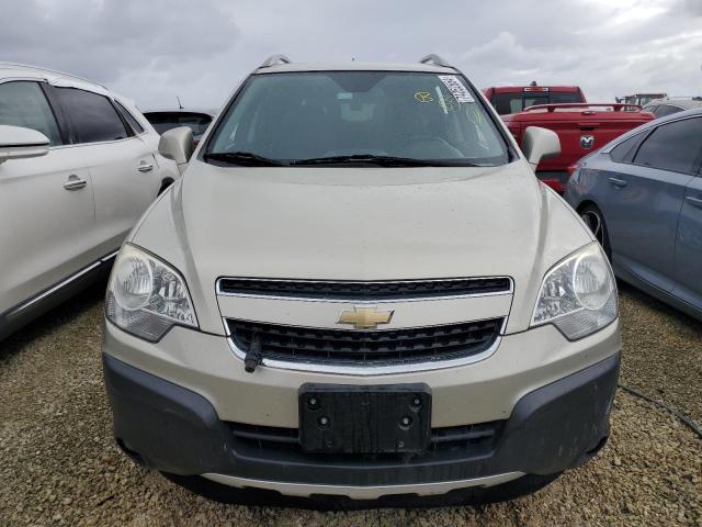  CHEVROLET CAPTIVA 2013 Колір засмаги