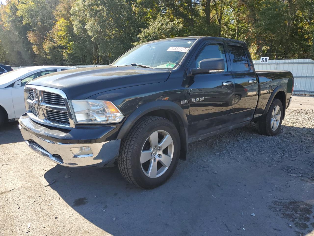 2010 Dodge Ram 1500 VIN: 1D7RV1GT2AS207757 Lot: 74663254