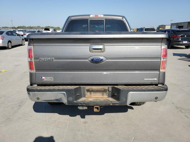 Pickups FORD F-150 2013 Szary