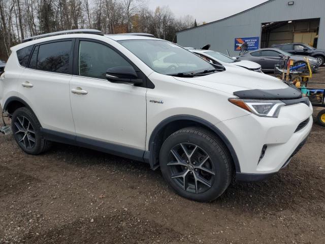  TOYOTA RAV4 2017 Білий