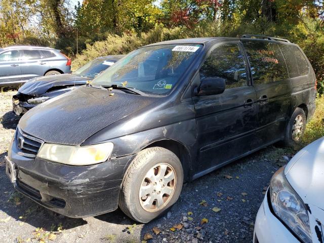 2004 Honda Odyssey Exl