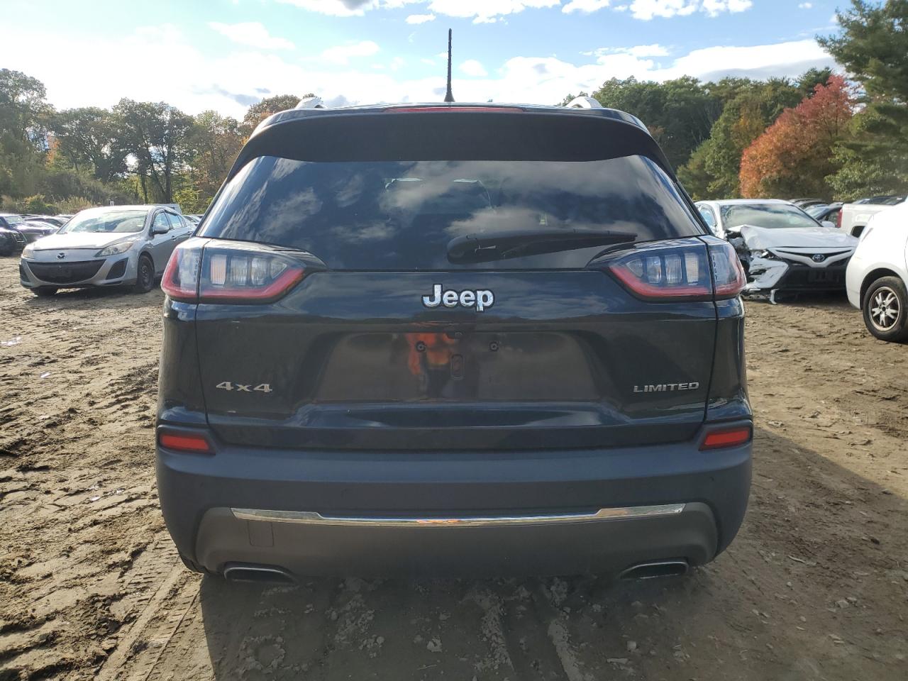 2019 Jeep Cherokee Limited VIN: 1C4PJMDN1KD490159 Lot: 75215884