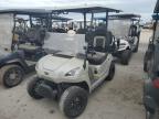 2021 Golf Cart Cart zu verkaufen in Riverview, FL - Water/Flood