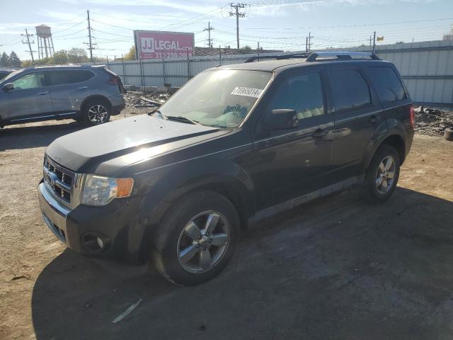 2012 Ford Escape Limited na sprzedaż w Chicago Heights, IL - Minor Dent/Scratches