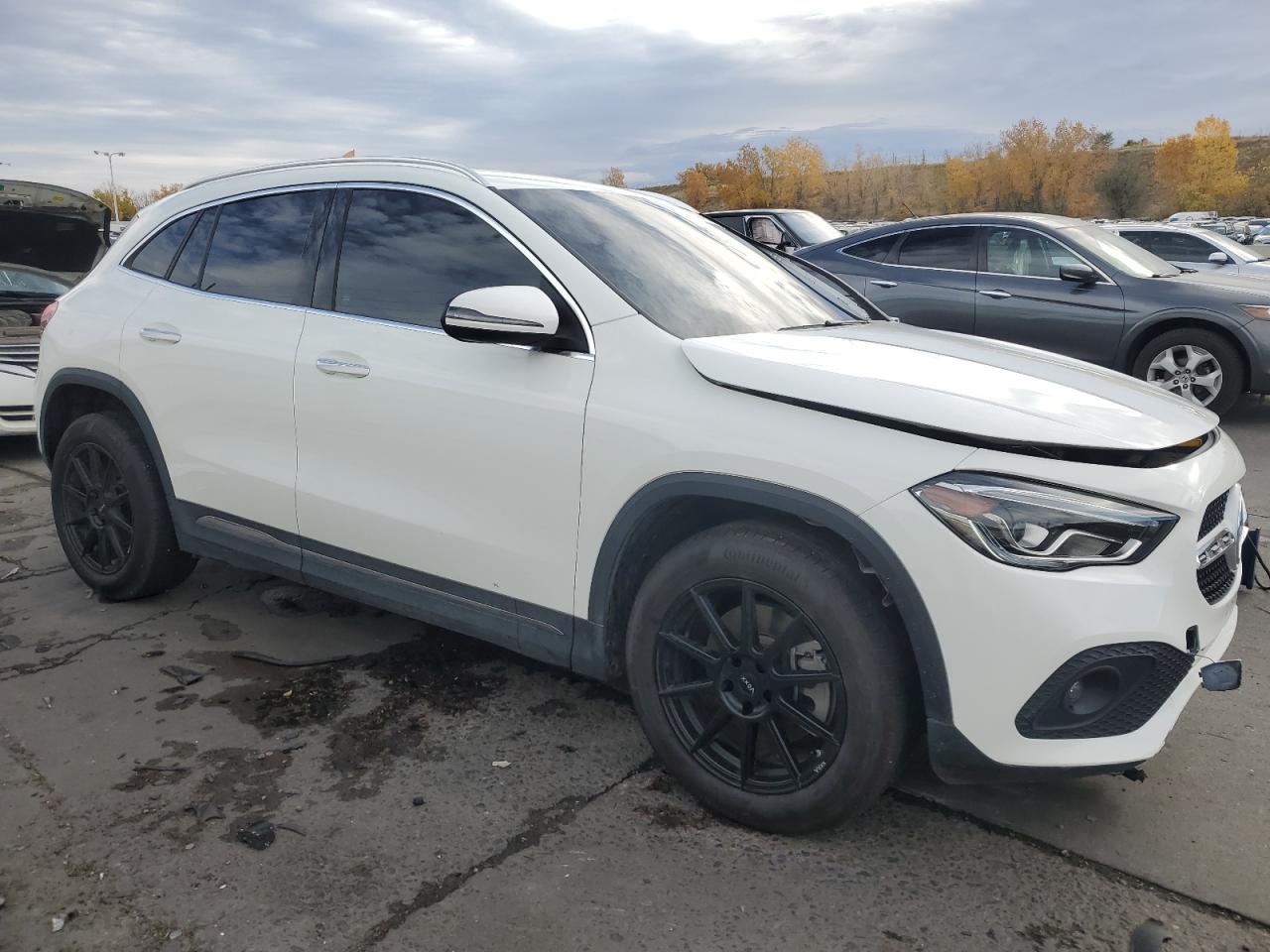 2021 Mercedes-Benz Gla 250 4Matic VIN: W1N4N4HB6MJ180870 Lot: 76784304