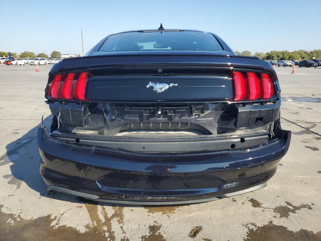 2021 Ford Mustang VIN: 1FA6P8TH7M5133892 Lot: 76605544