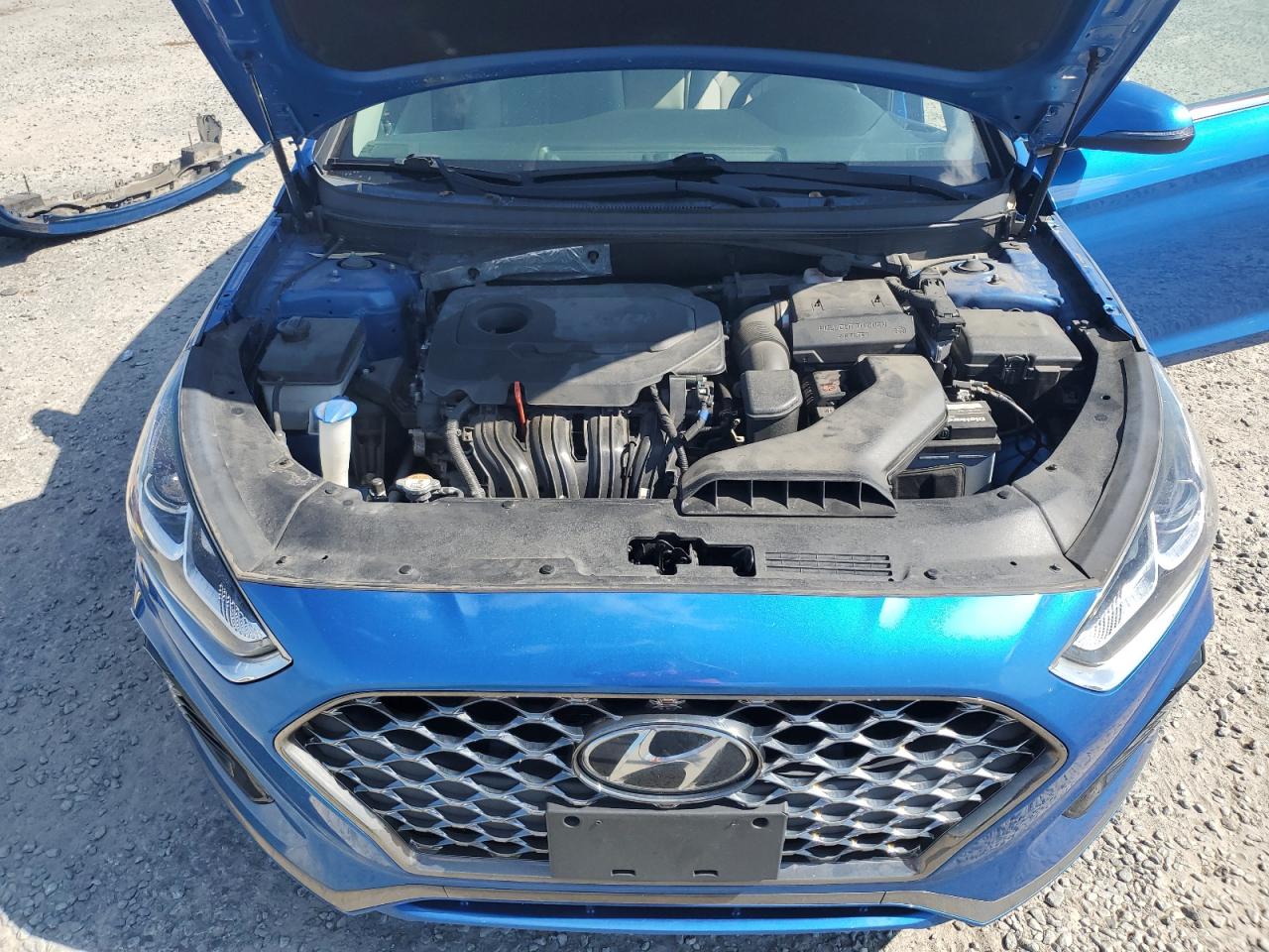 5NPE34AF5KH776282 2019 Hyundai Sonata Limited