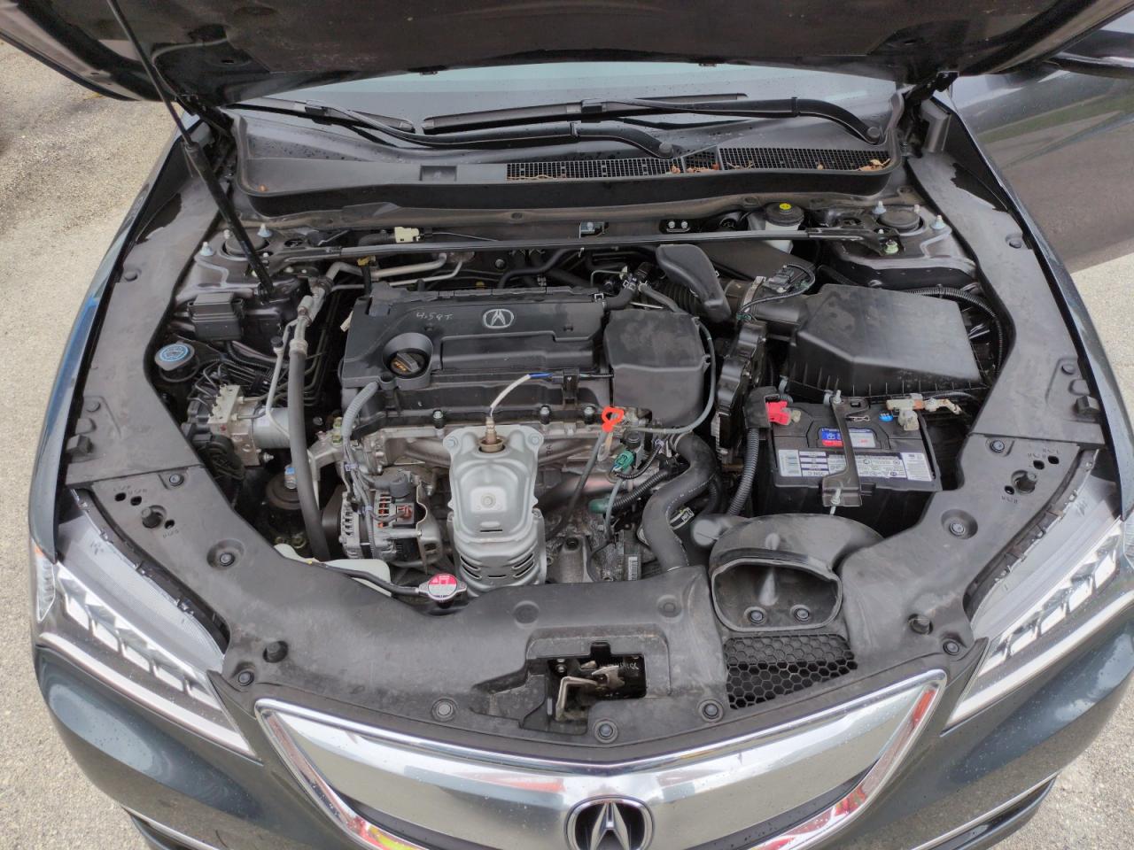 19UUB1F37FA006062 2015 Acura Tlx