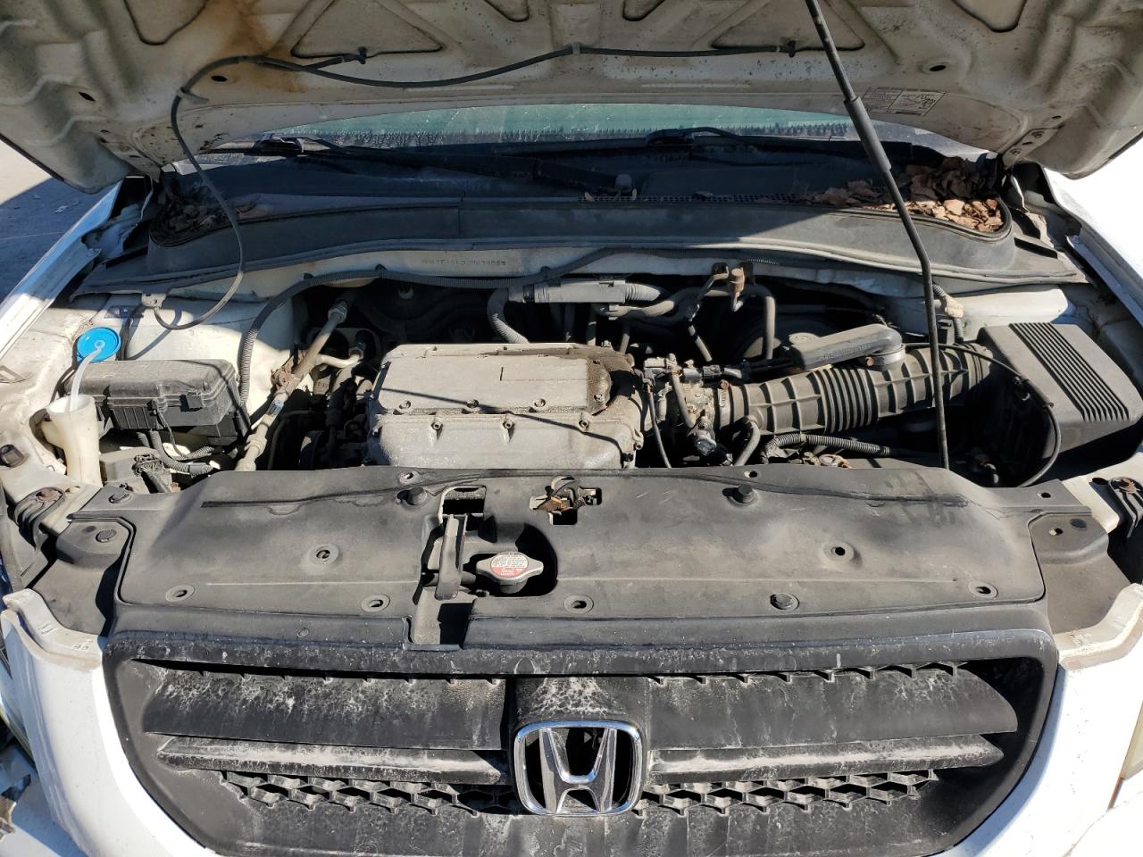 2003 Honda Pilot Exl VIN: 2HKYF18533H579029 Lot: 80245005