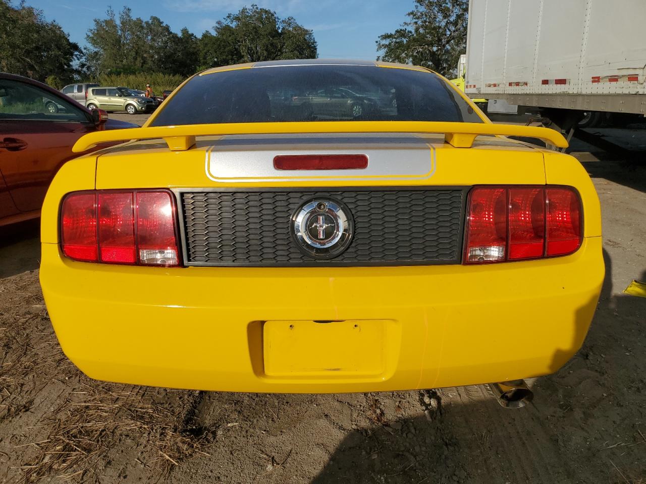 2006 Ford Mustang VIN: 1ZVHT80N265237490 Lot: 75167664