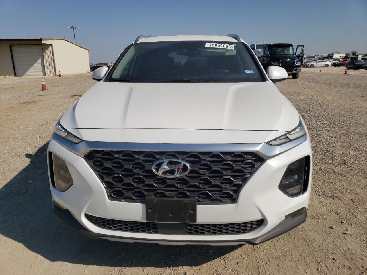 2020 Hyundai Santa Fe Sel VIN: 5NMS33AD6LH210075 Lot: 75054664