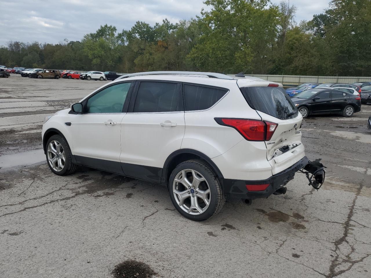 1FMCU9J98KUA31667 2019 FORD ESCAPE - Image 2