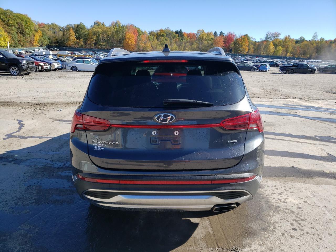 2022 Hyundai Santa Fe Sel VIN: 5NMS2DAJ1NH442486 Lot: 76189384