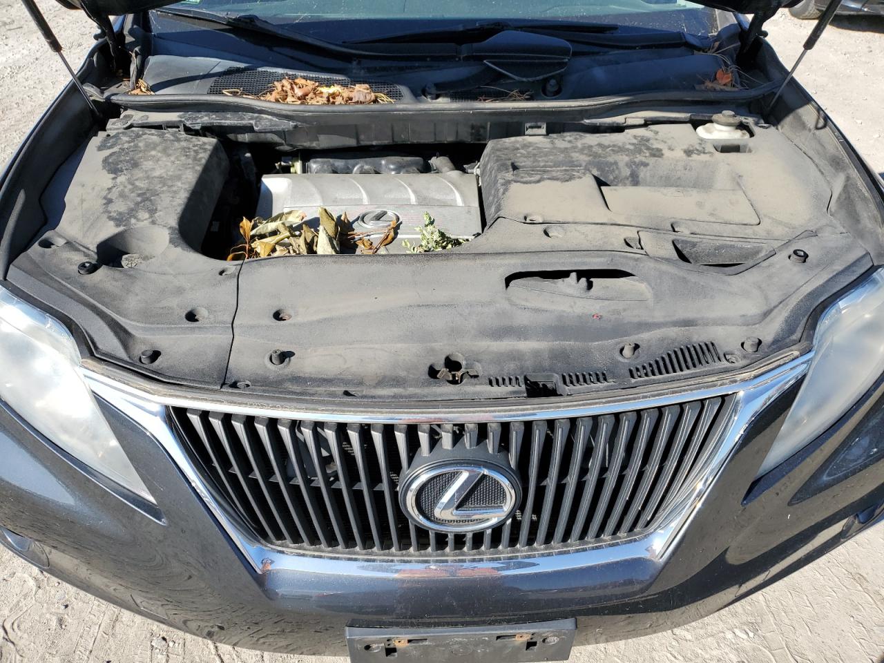 2010 Lexus RX - Image 12