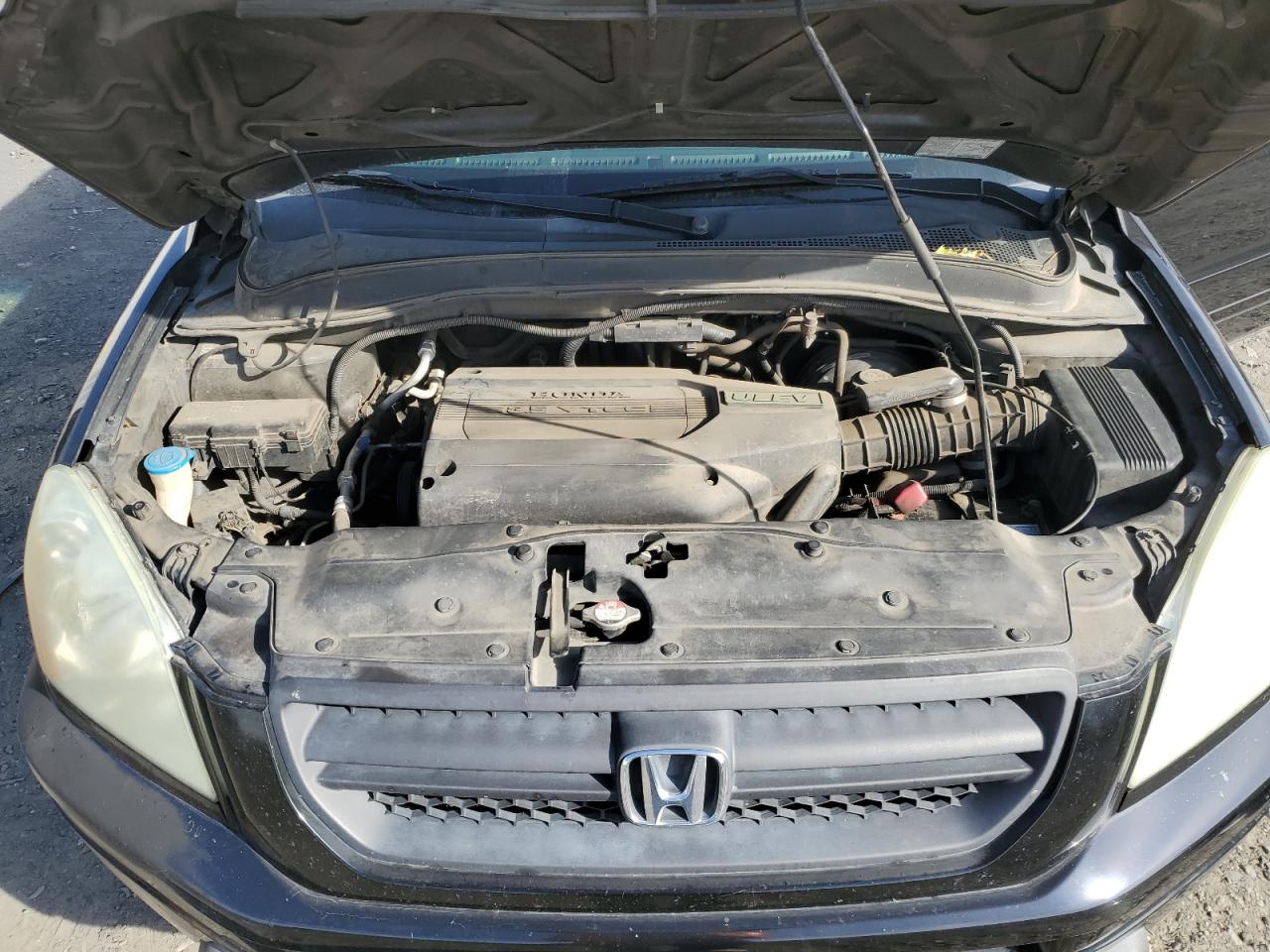 2004 Honda Pilot Exl VIN: 2HKYF18524H567844 Lot: 75906084