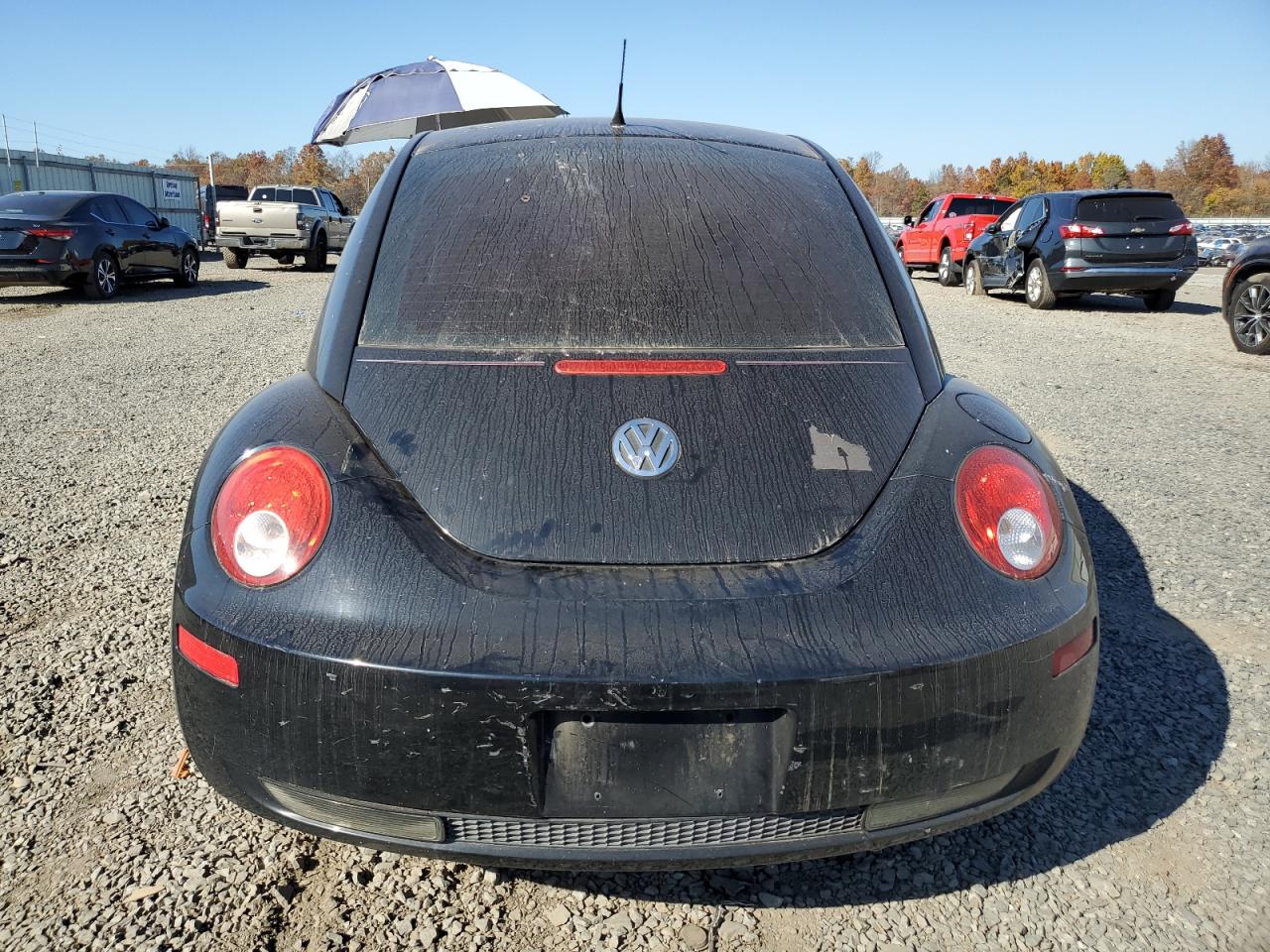 2008 Volkswagen New Beetle S VIN: 3VWPW31C78M509757 Lot: 76988894