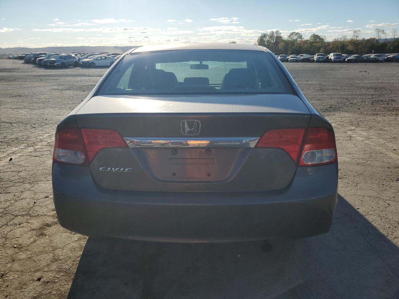 2010 Honda Civic Exl VIN: 19XFA1F98AE038961 Lot: 75830124