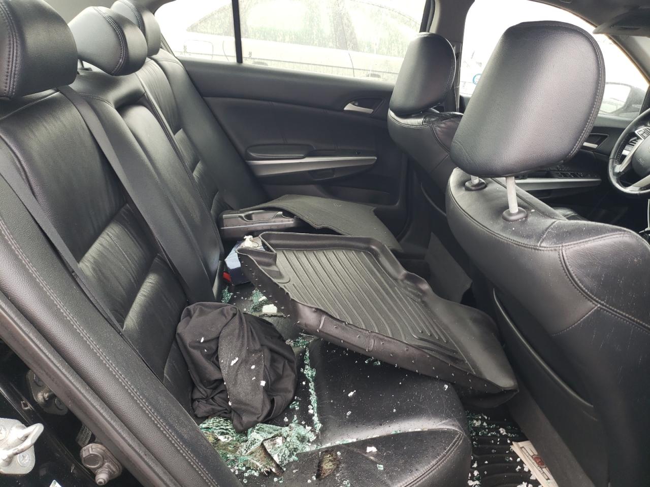 2010 Honda Accord Exl VIN: 1HGCP2F87AA808022 Lot: 76770814