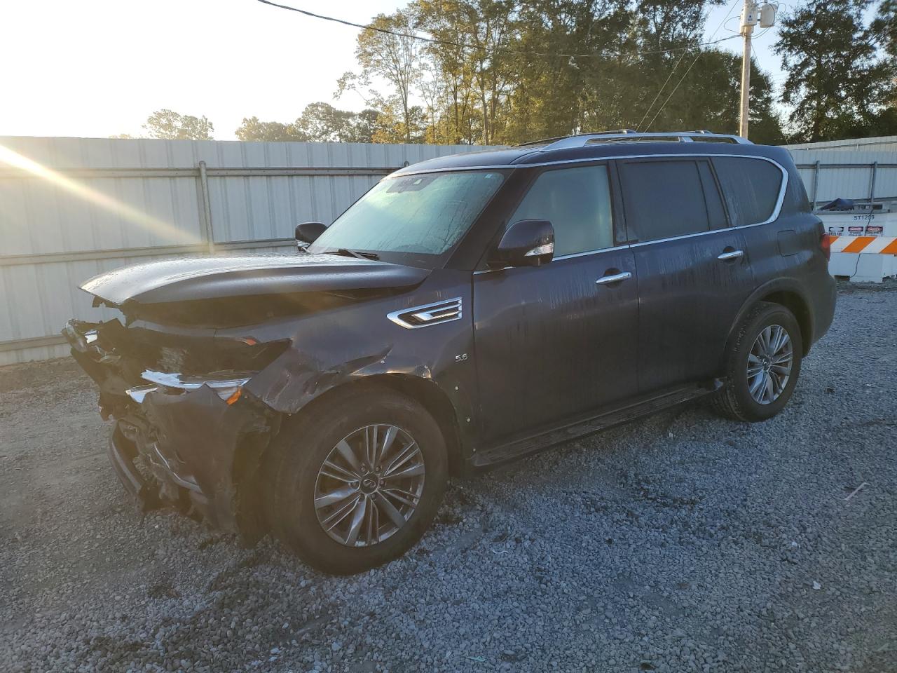 2019 Infiniti QX80 - Image 1