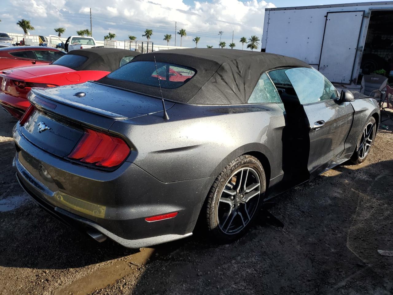 2019 Ford Mustang - Image 3