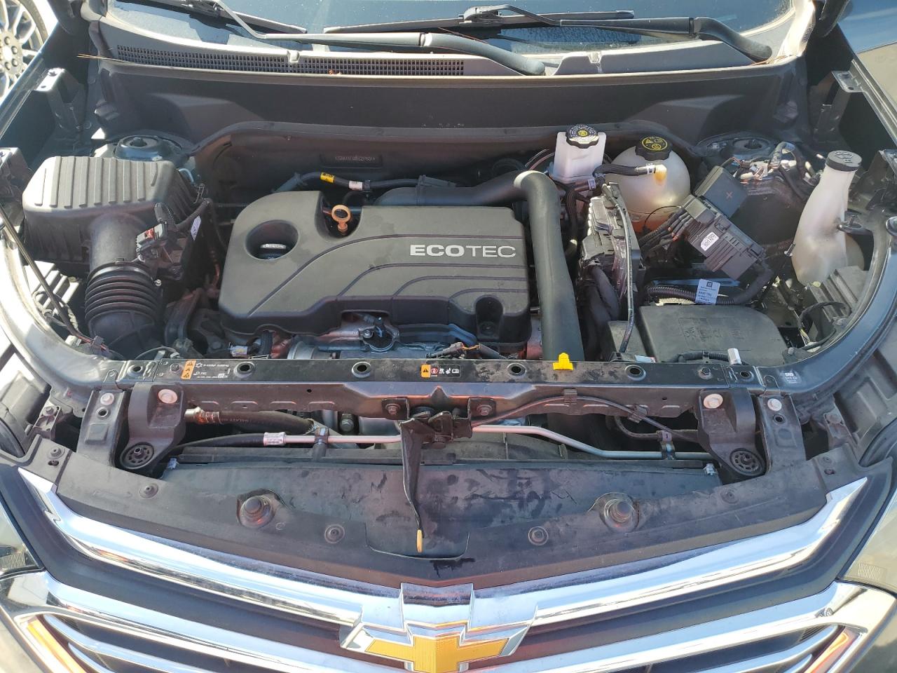 2GNAXXEVXK6259531 2019 Chevrolet Equinox Premier