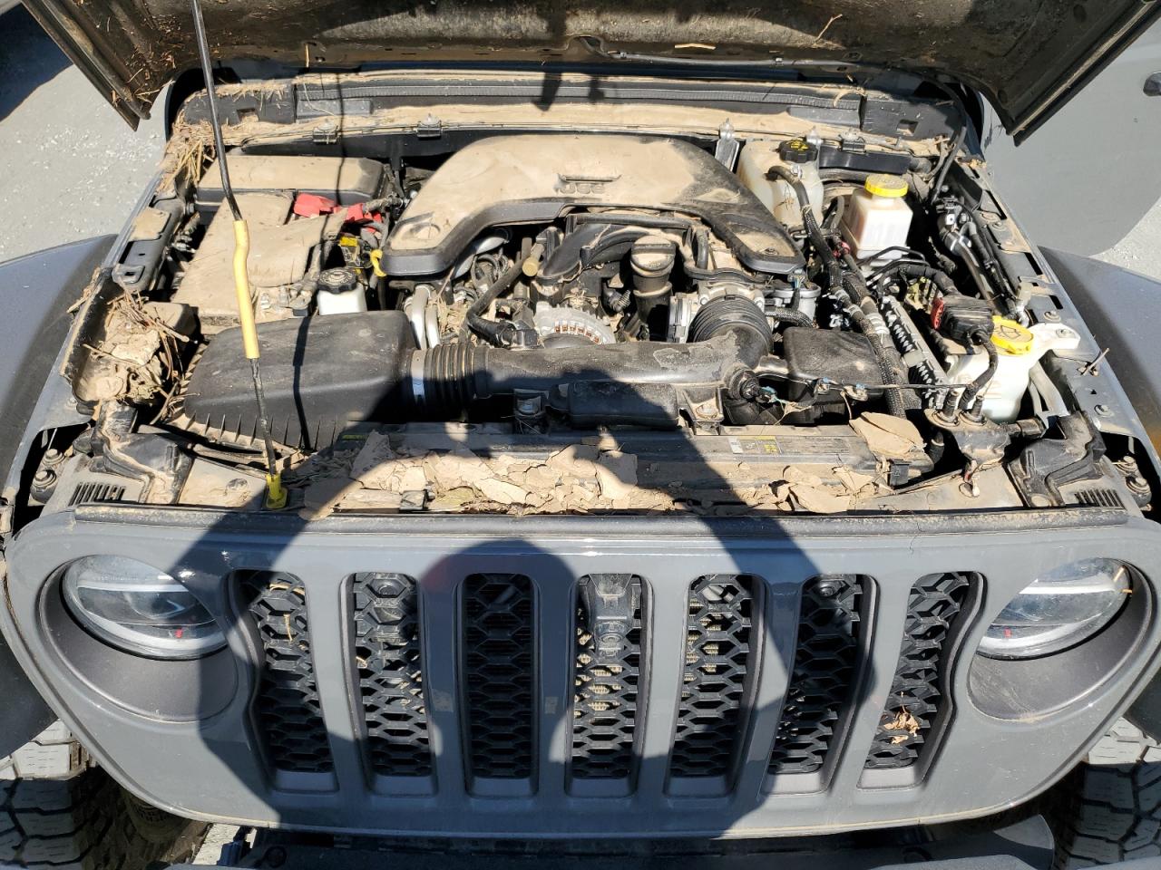 2020 Jeep Gladiator Mojave VIN: 1C6JJTEGXLL202735 Lot: 77430414