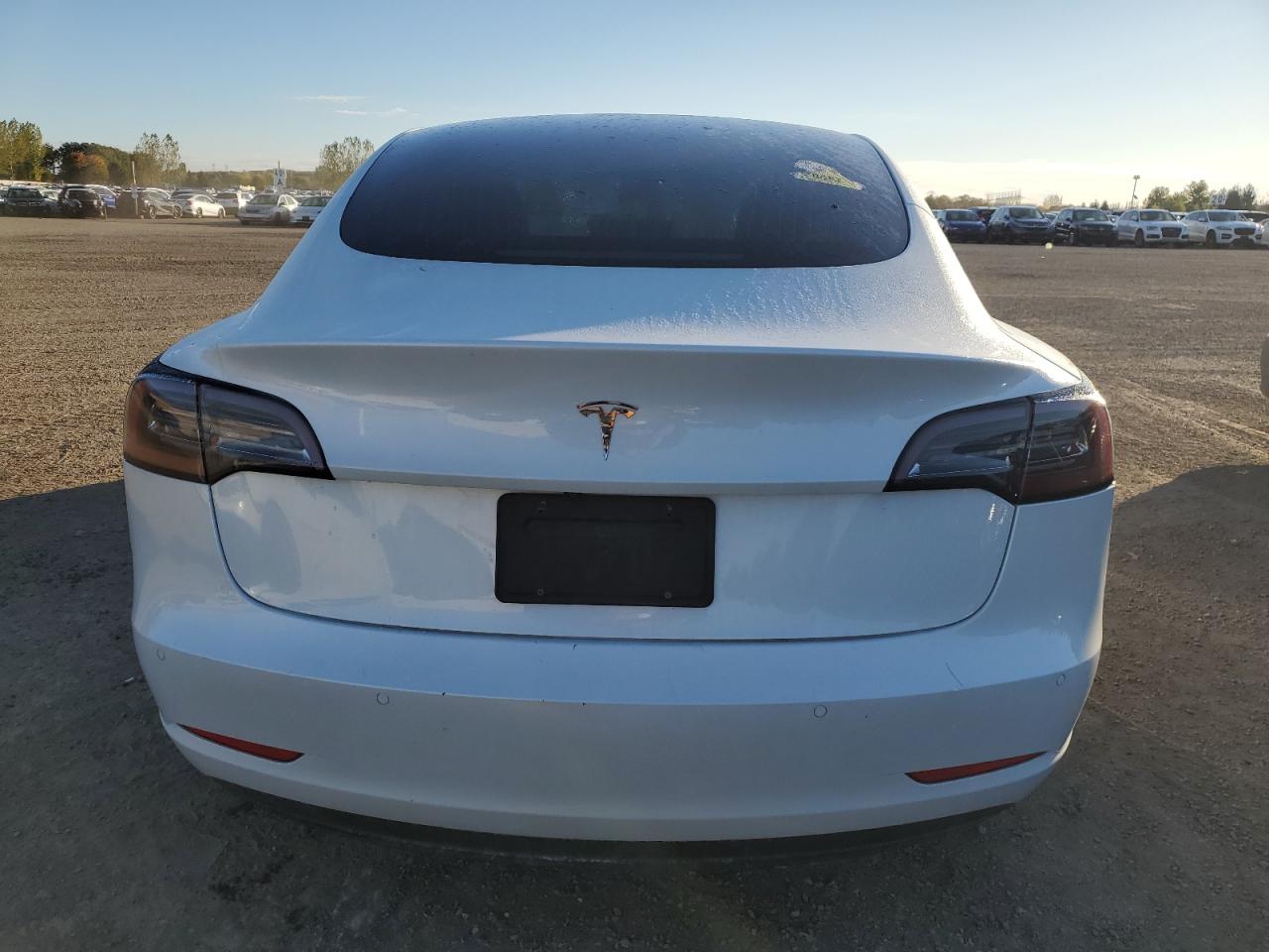 2020 Tesla Model 3 VIN: 5YJ3E1EA9LF625475 Lot: 74554804