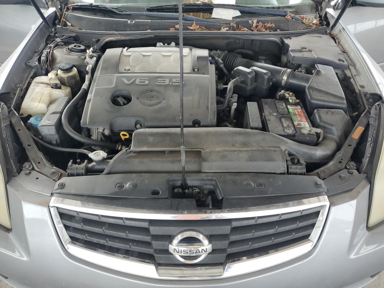 1N4BA41E98C804031 2008 Nissan Maxima Se