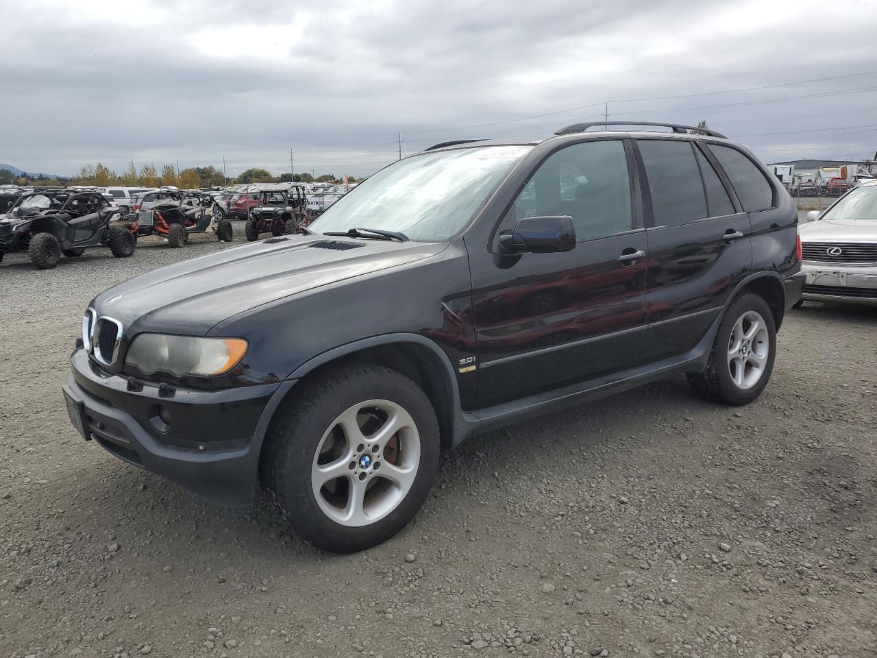 2002 BMW X5 3.0I VIN: 5UXFA53582LP34851 Lot: 75721014