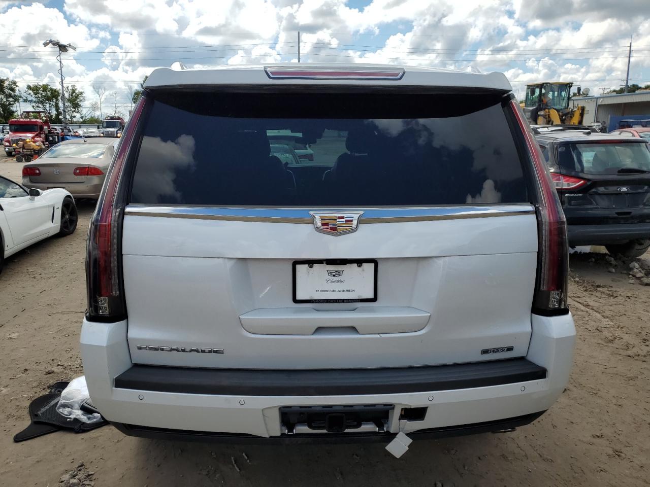 1GYS3DKJ6LR232030 2020 Cadillac Escalade Platinum