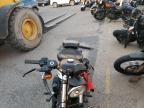 2022 HARLEY-DAVIDSON XL883 N for sale at Copart NM - ALBUQUERQUE
