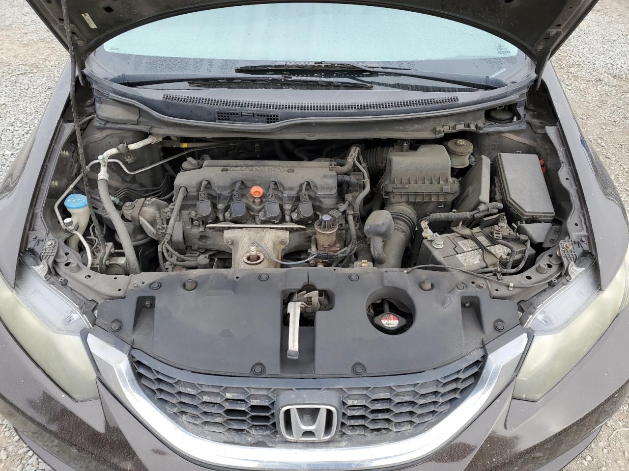 2HGFB2F6XDH529485 2013 Honda Civic Hf