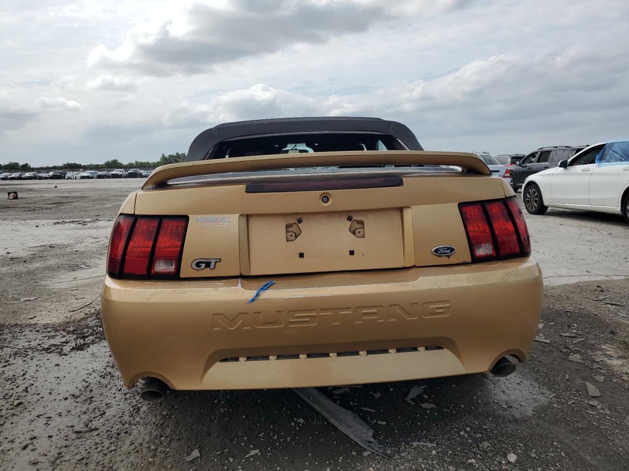 2000 Ford Mustang Gt VIN: 1FAFP45X7YF215361 Lot: 76730944