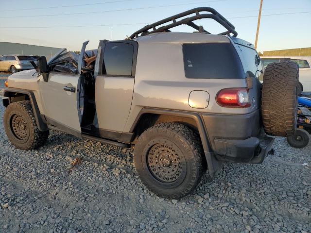  TOYOTA FJ CRUISER 2013 Серый