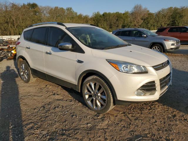  FORD ESCAPE 2014 White
