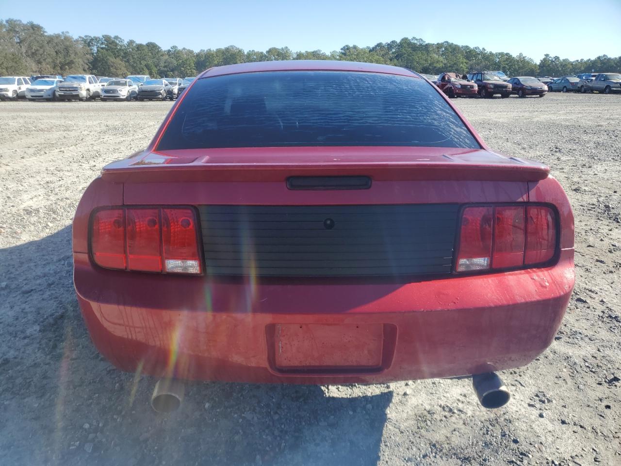 2007 Ford Mustang VIN: 1ZVFT80N875363894 Lot: 76248154