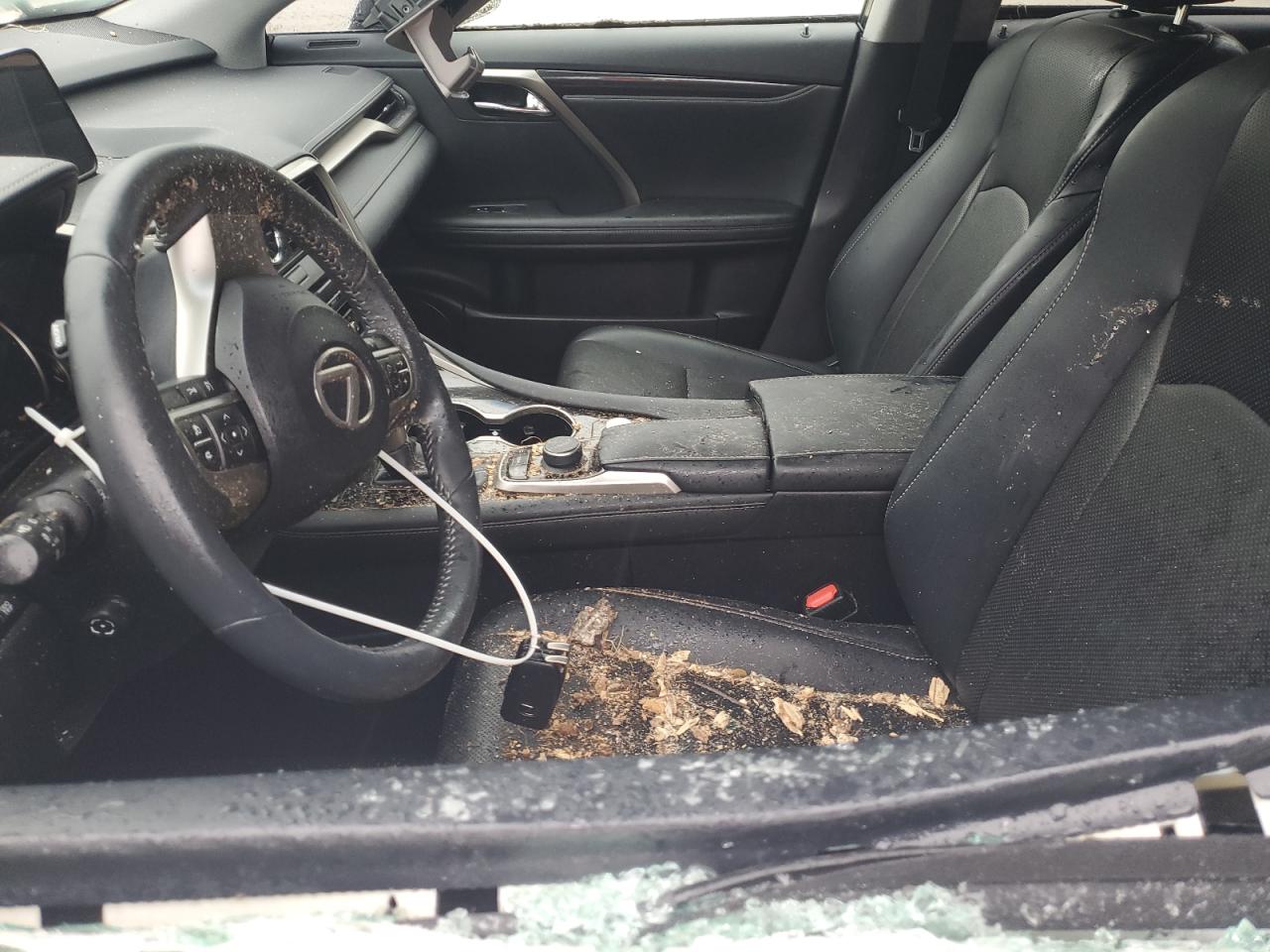 2019 Lexus RX - Image 7