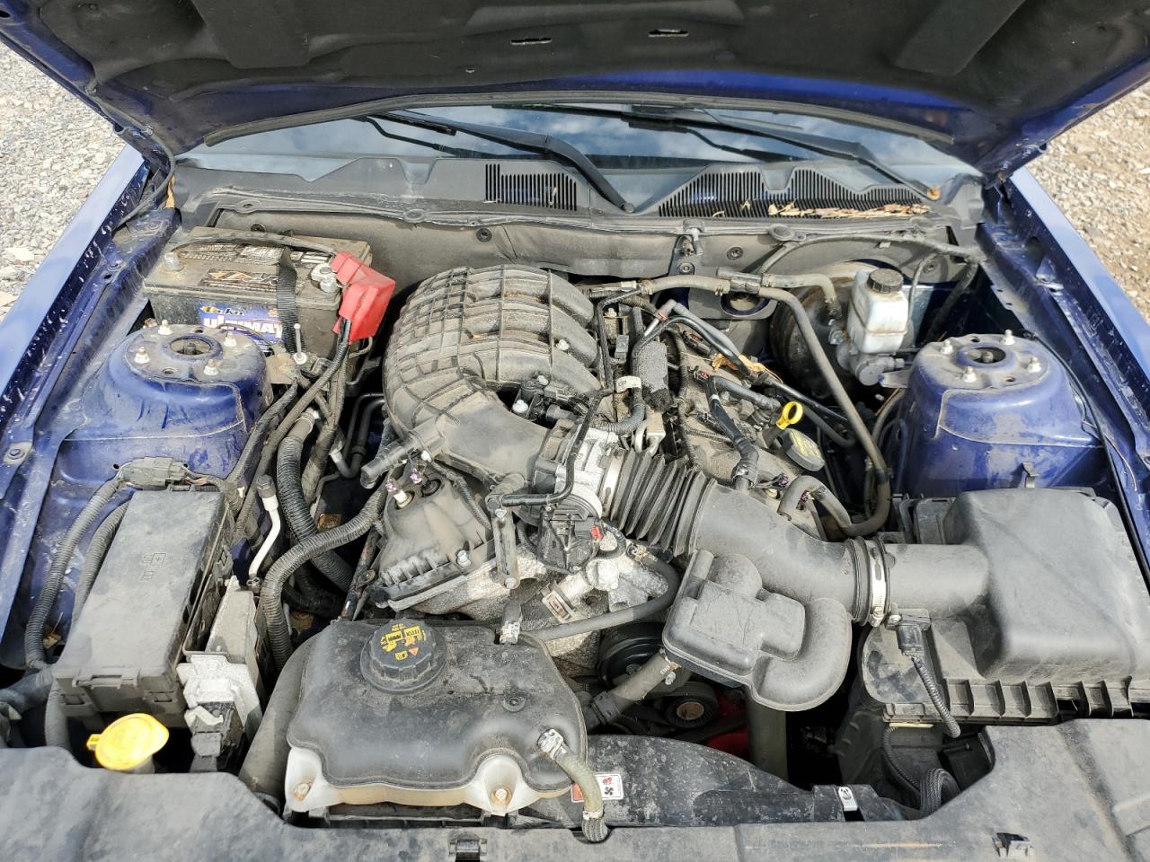 2013 Ford Mustang VIN: 1ZVBP8AM0D5275880 Lot: 73422294